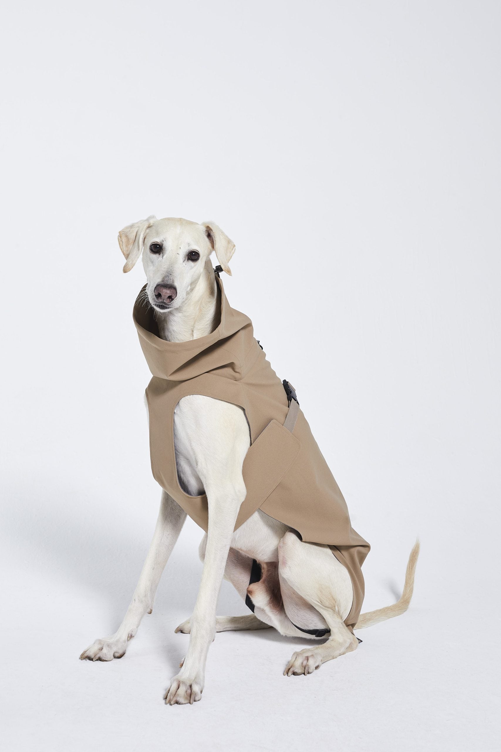 Raincoat (58)