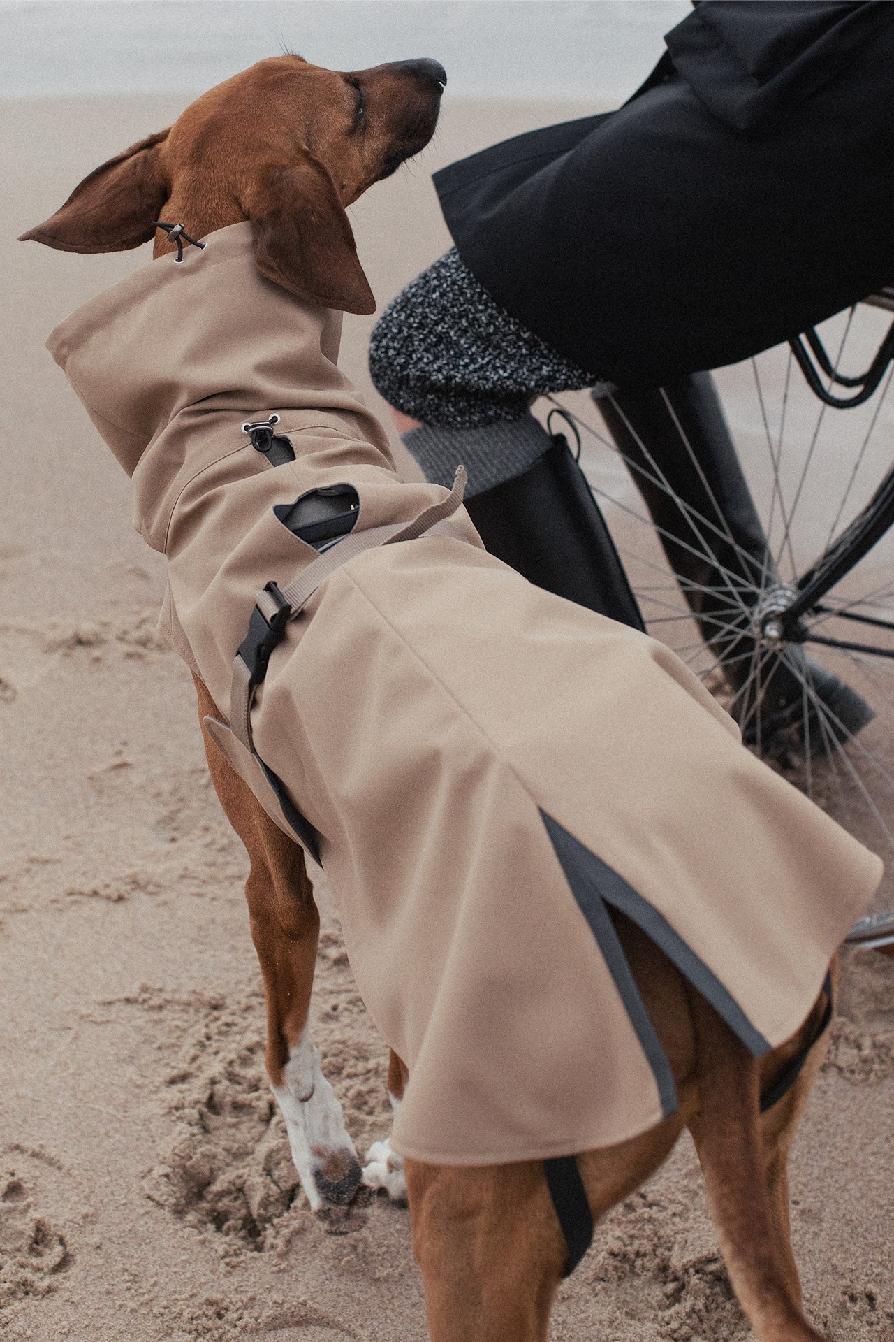 Dog Raincoat (6)