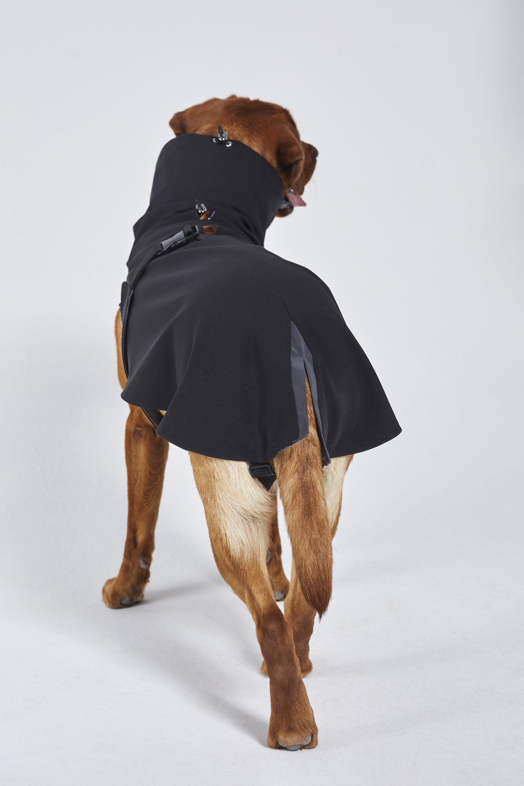 Raincoat (54)