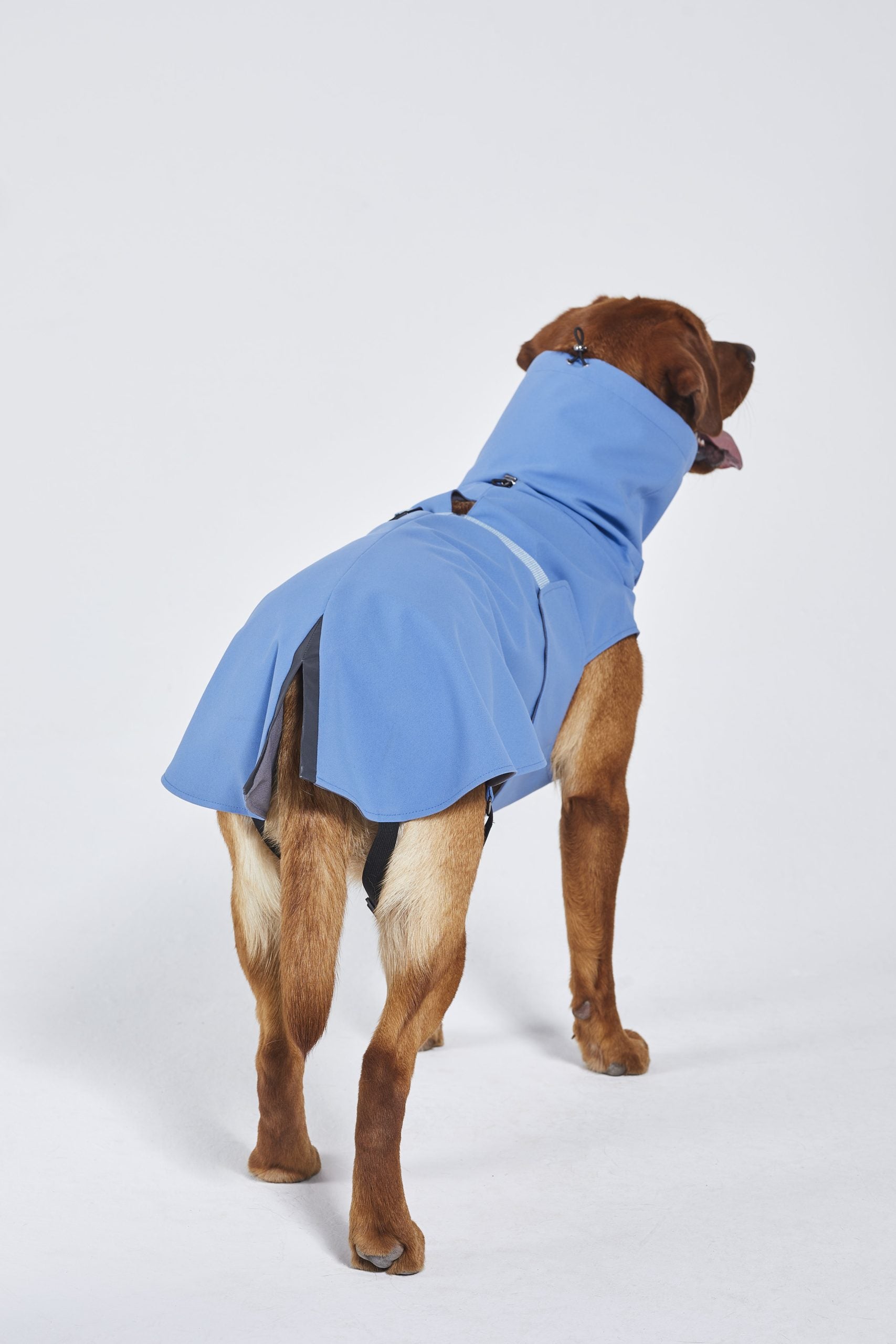 Raincoat (56)