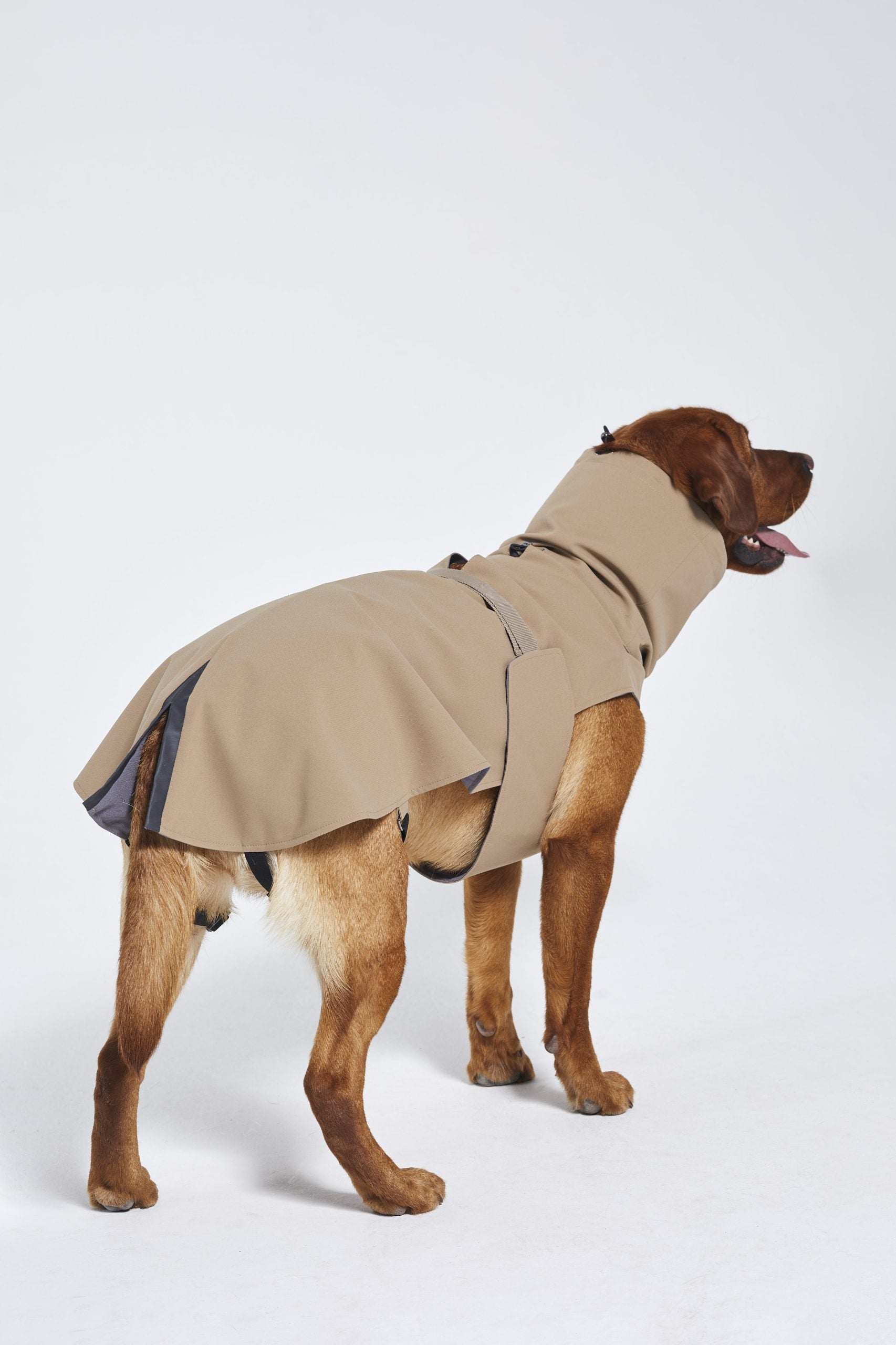 Raincoat (57)