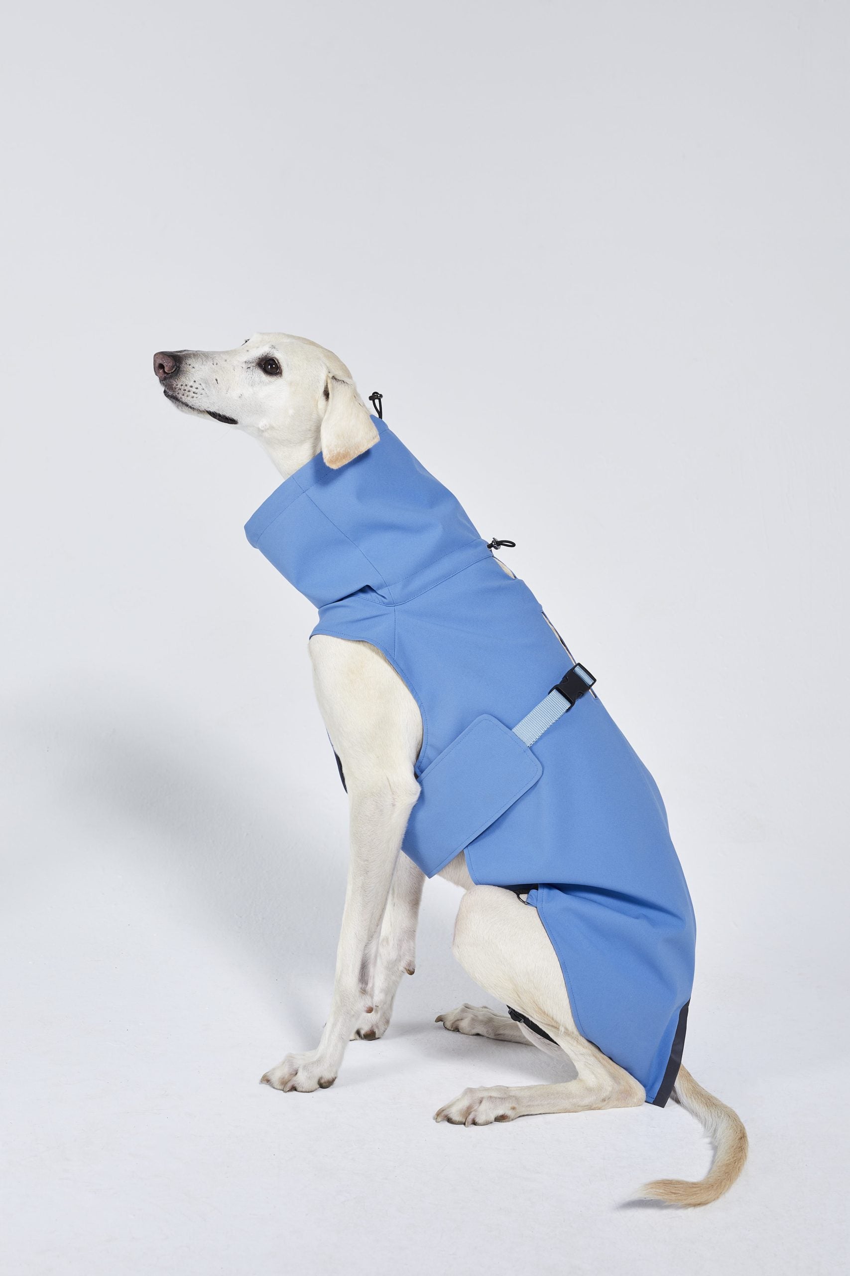 Raincoat (61)
